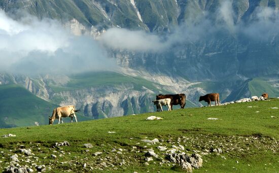 Mountain regions in Chechen Republic
