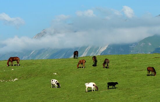Mountain regions in Chechen Republic
