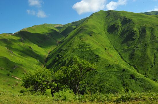 Mountain regions in Chechen Republic