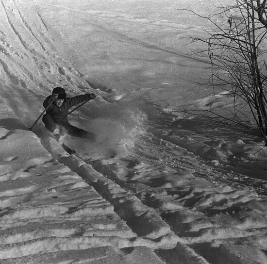Winter recreation in Moscow suburbs