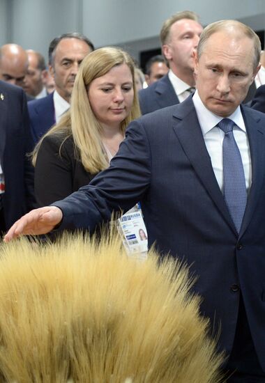 President Vladimir Putin's visit to Italy