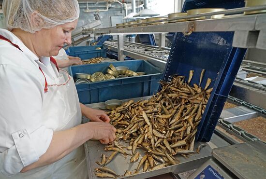 "Za Rodinu" fish factory in Kalinigrad Region