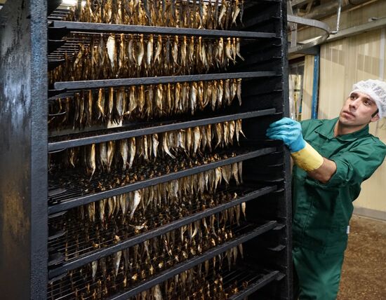 "Za Rodinu" fish factory in Kalinigrad Region