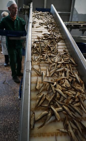 "Za Rodinu" fish factory in Kalinigrad Region