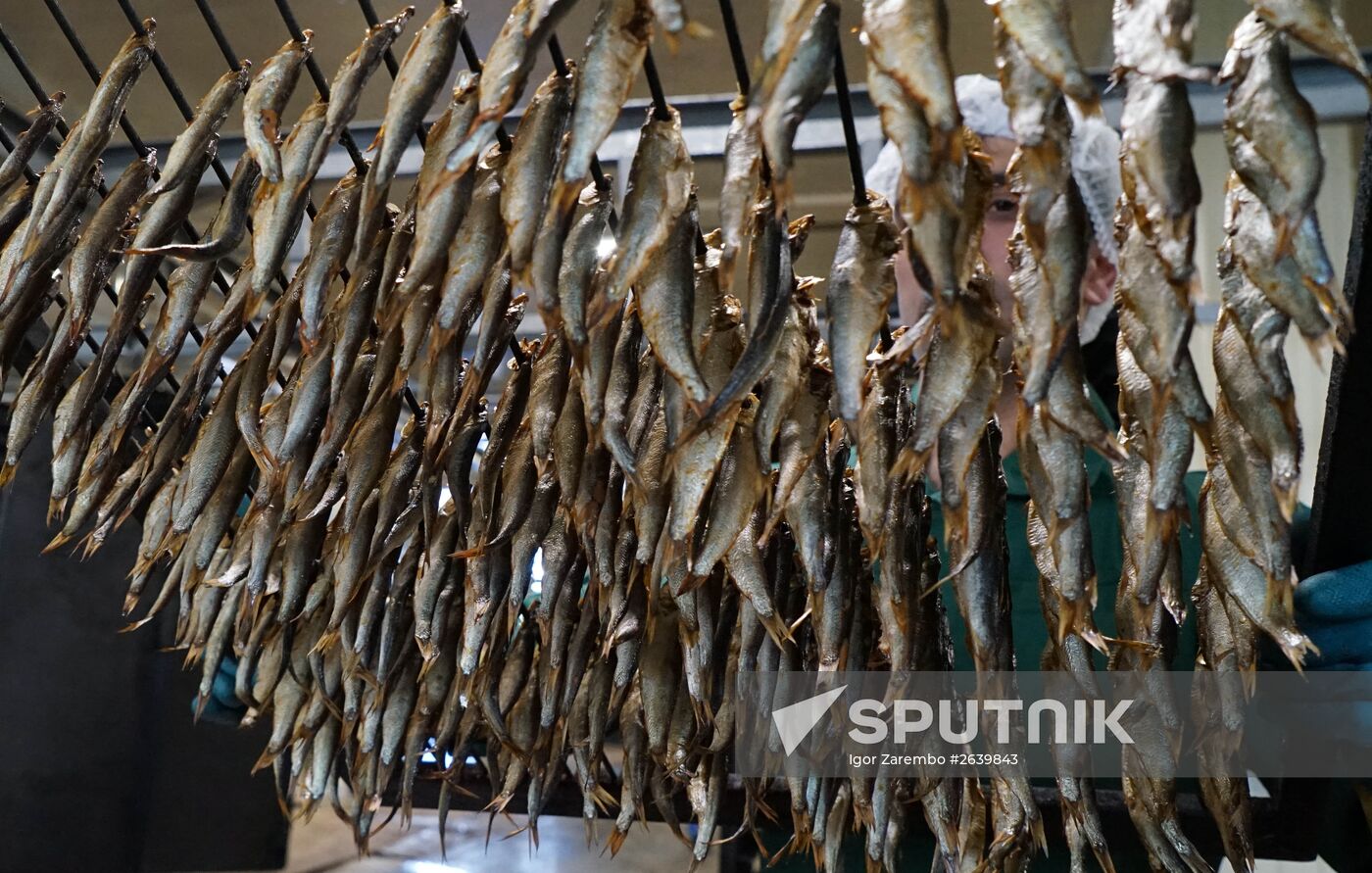 "Za Rodinu" fish factory in Kalinigrad Region