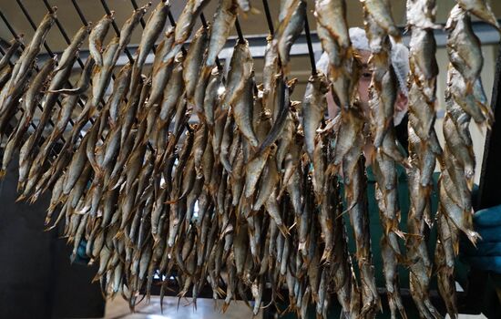 "Za Rodinu" fish factory in Kalinigrad Region