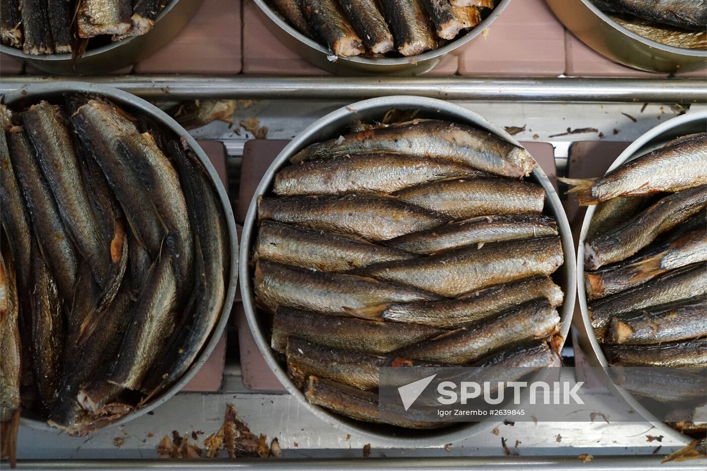 "Za Rodinu" fish factory in Kalinigrad Region