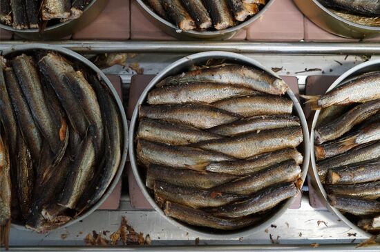 "Za Rodinu" fish factory in Kalinigrad Region