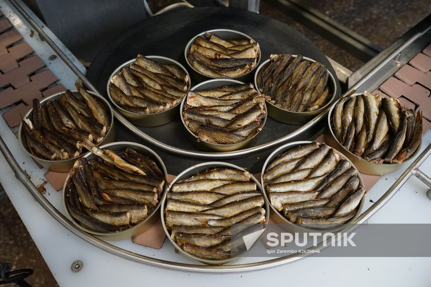 "Za Rodinu" fish factory in Kalinigrad Region