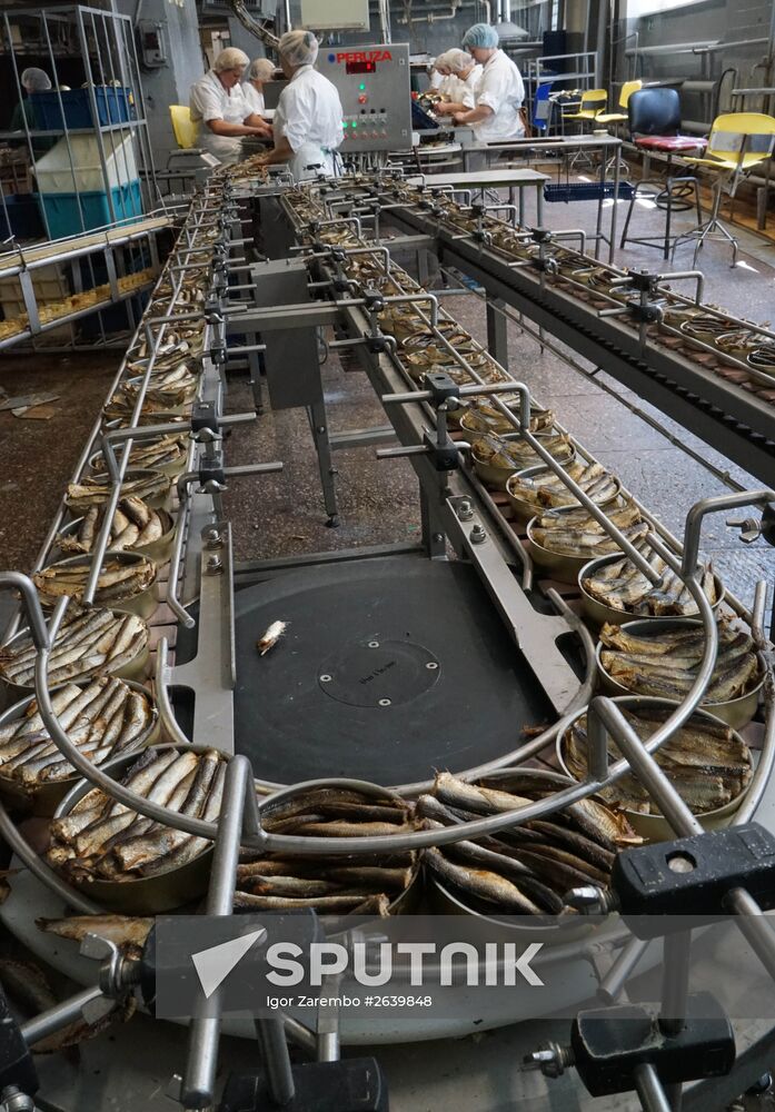 "Za Rodinu" fish factory in Kalinigrad Region