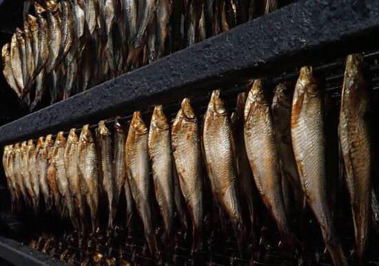 "Za Rodinu" fish factory in Kalinigrad Region