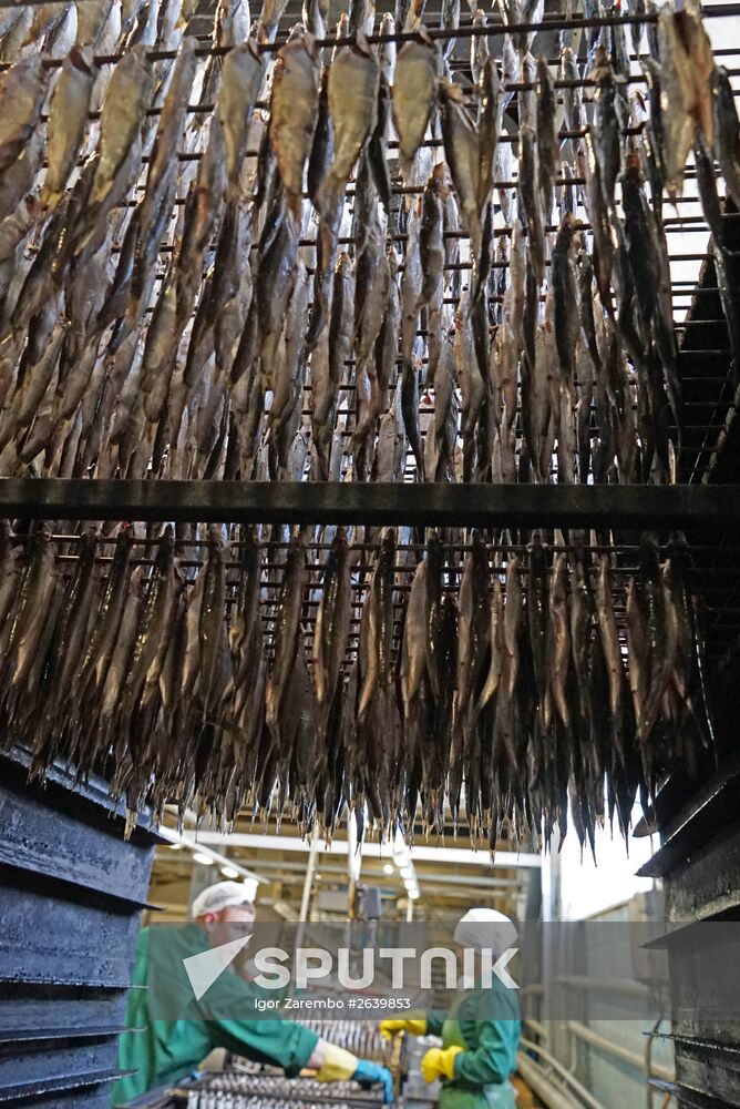 "Za Rodinu" fish factory in Kalinigrad Region