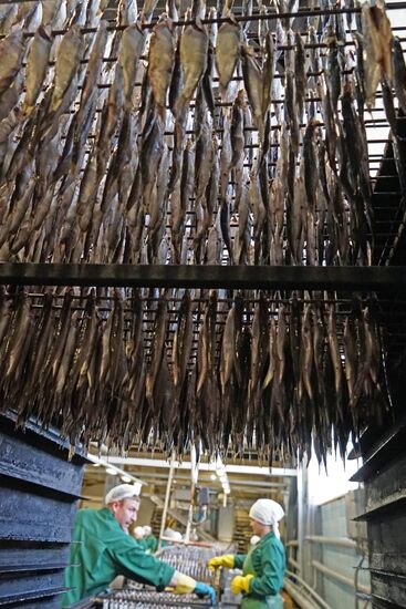 "Za Rodinu" fish factory in Kalinigrad Region