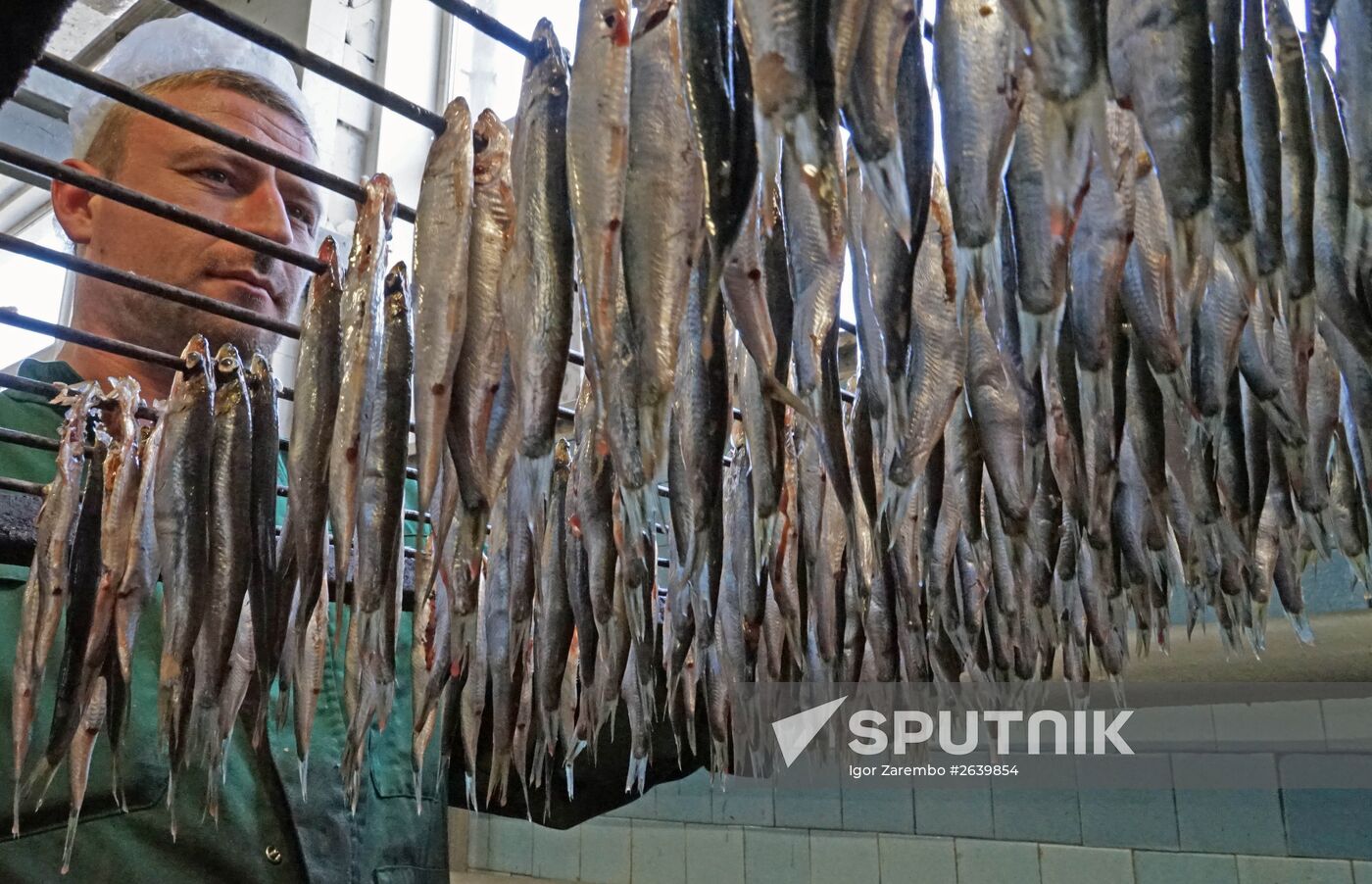 "Za Rodinu" fish factory in Kalinigrad Region