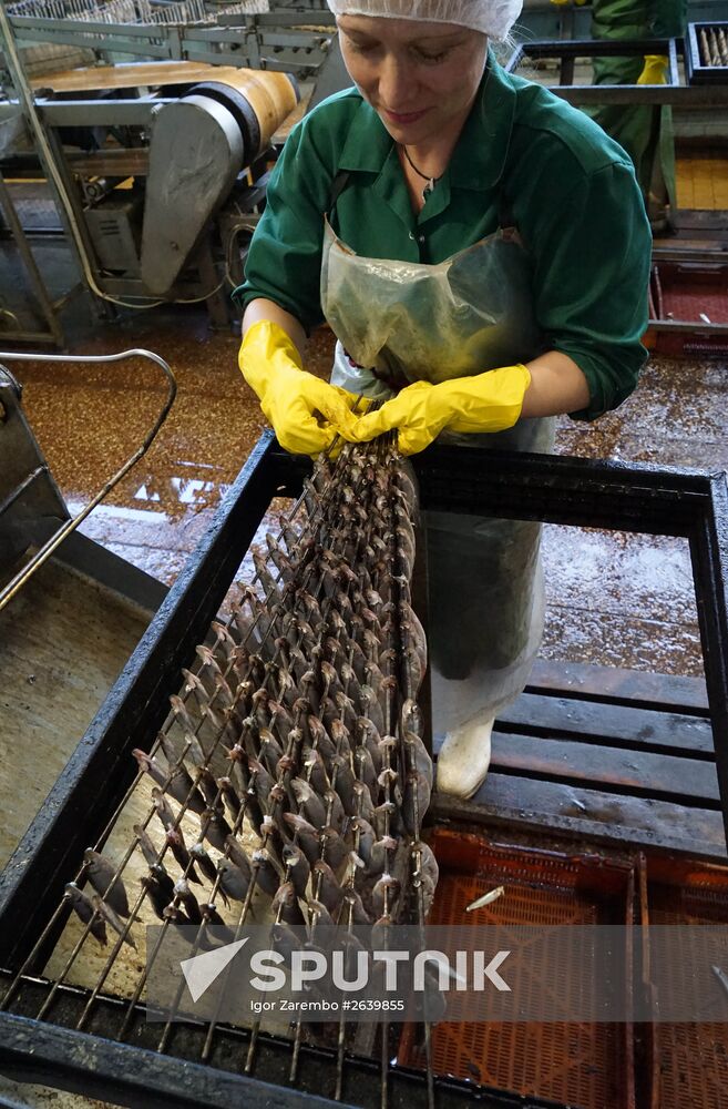 "Za Rodinu" fish factory in Kalinigrad Region