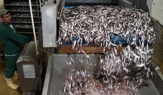 "Za Rodinu" fish factory in Kalinigrad Region