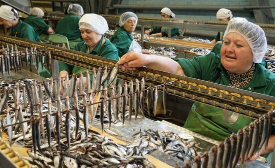 "Za Rodinu" fish factory in Kalinigrad Region