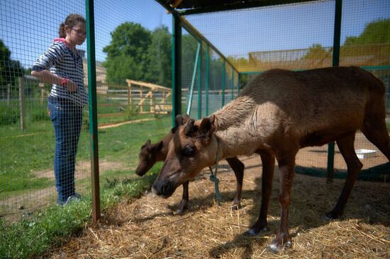 Wildlife rehabilitation centre Veles in St. Petersburg