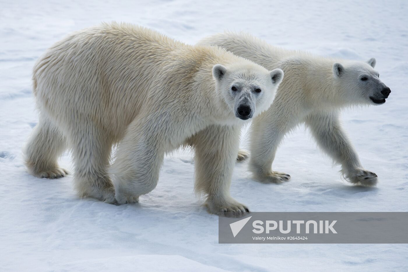 Kara-Winter 2015 Arctic expedition