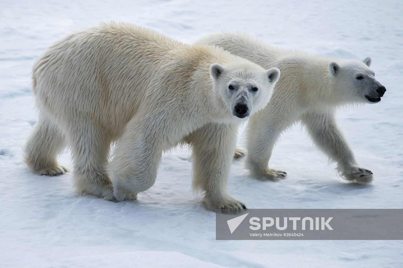 Kara-Winter 2015 Arctic expedition