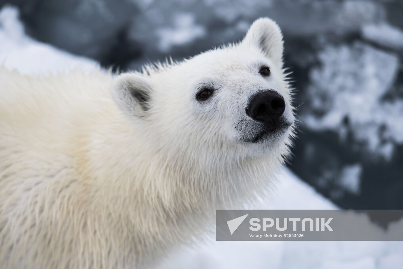 Kara-Winter 2015 Arctic expedition