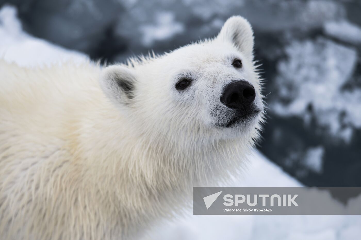 Kara-Winter 2015 Arctic expedition