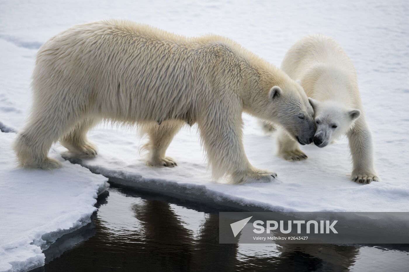 Kara-Winter 2015 Arctic expedition