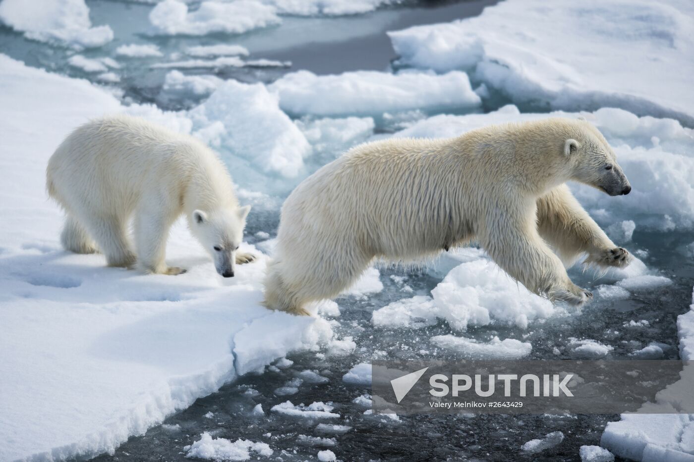 Kara-Winter 2015 Arctic expedition