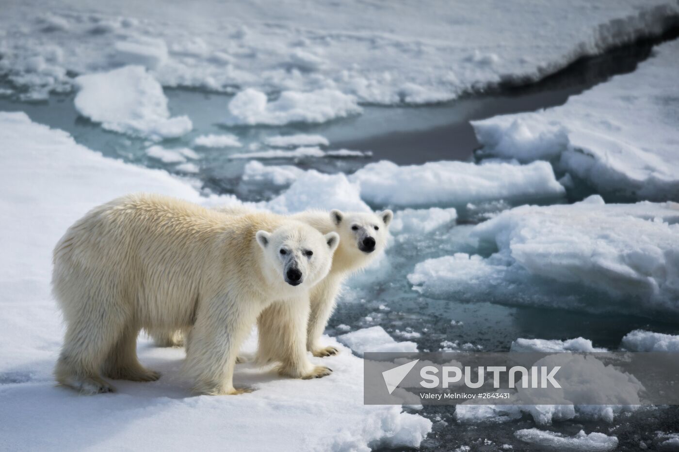 Kara-Winter 2015 Arctic expedition