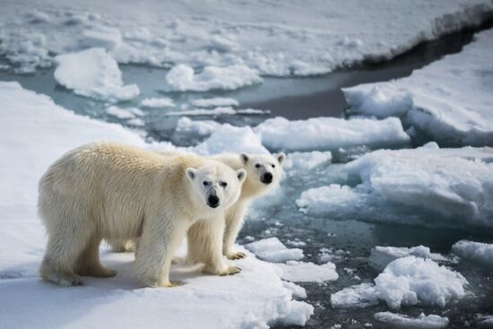 Kara-Winter 2015 Arctic expedition