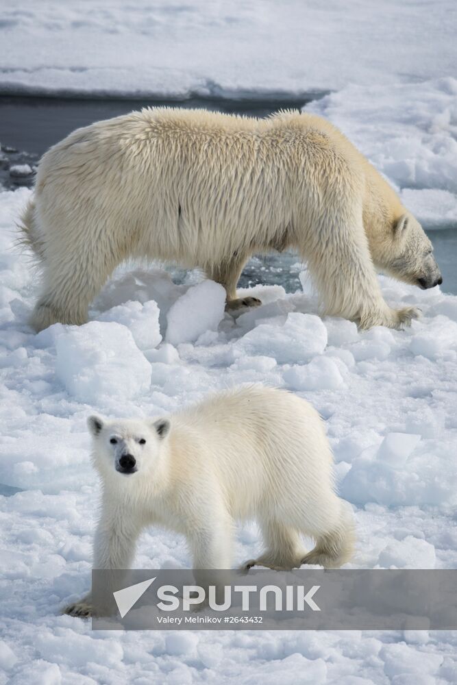 Kara-Winter 2015 Arctic expedition