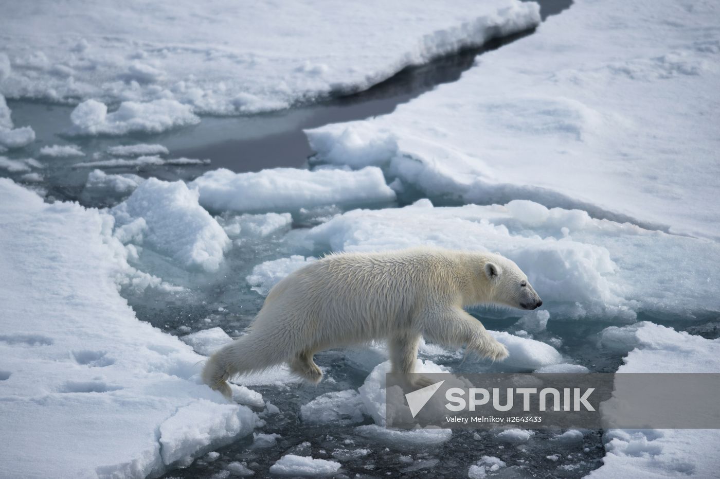 Kara-Winter 2015 Arctic expedition