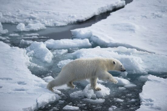 Kara-Winter 2015 Arctic expedition