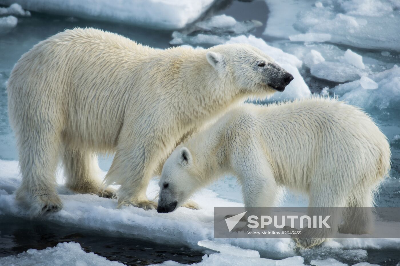 Kara-Winter 2015 Arctic expedition