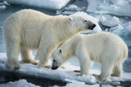 Kara-Winter 2015 Arctic expedition