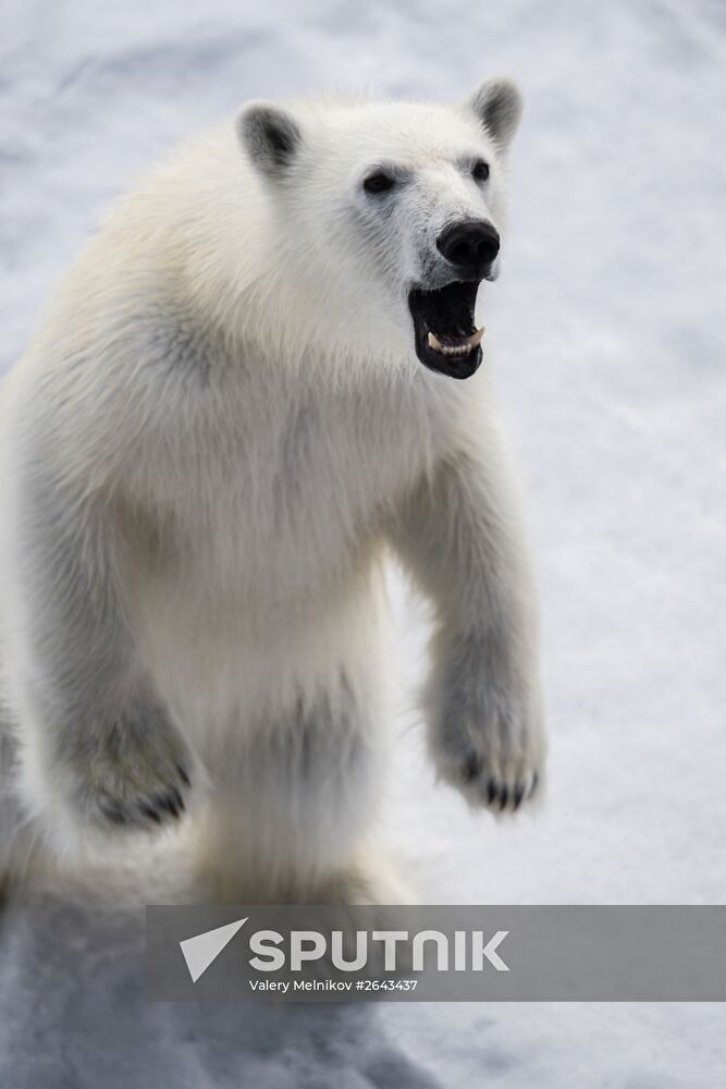 Kara-Winter 2015 Arctic expedition