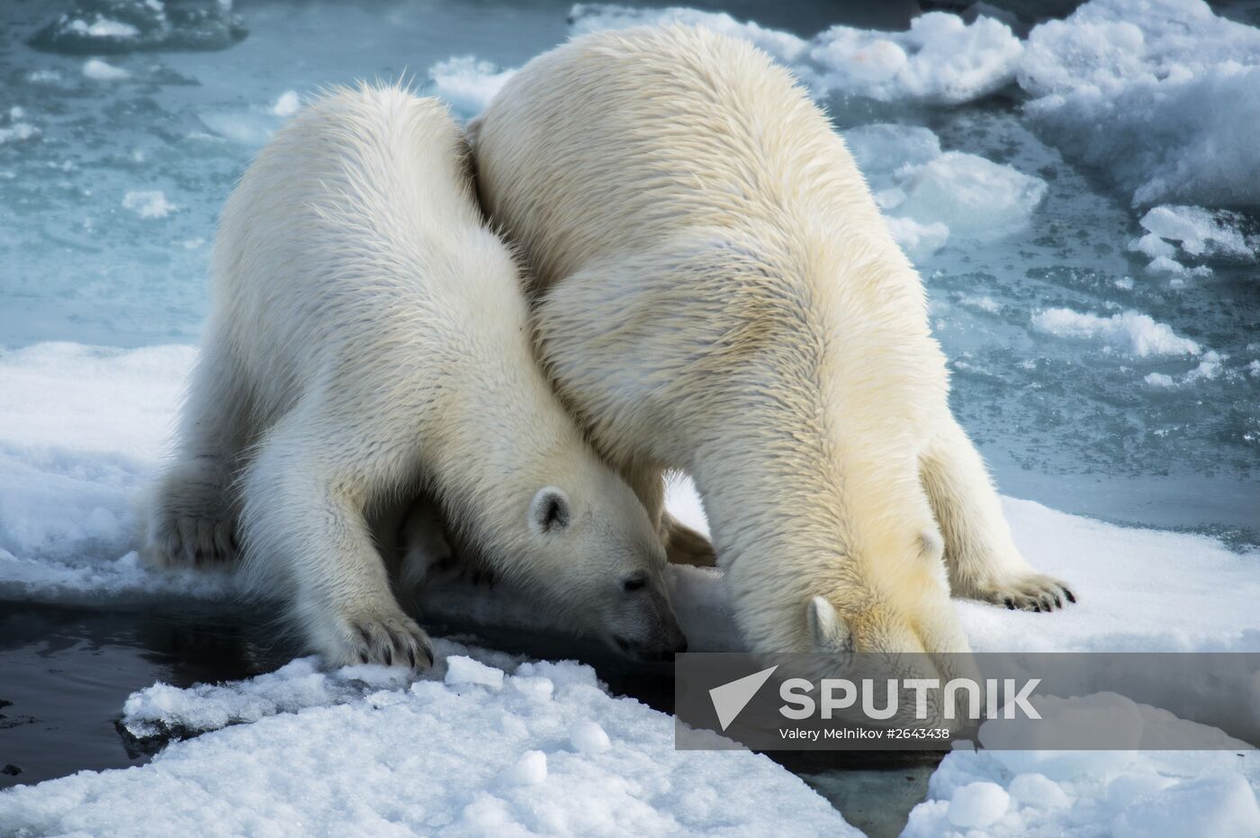 Kara-Winter 2015 Arctic expedition