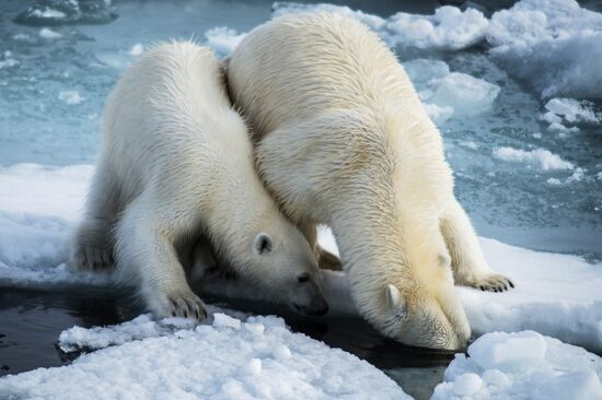 Kara-Winter 2015 Arctic expedition