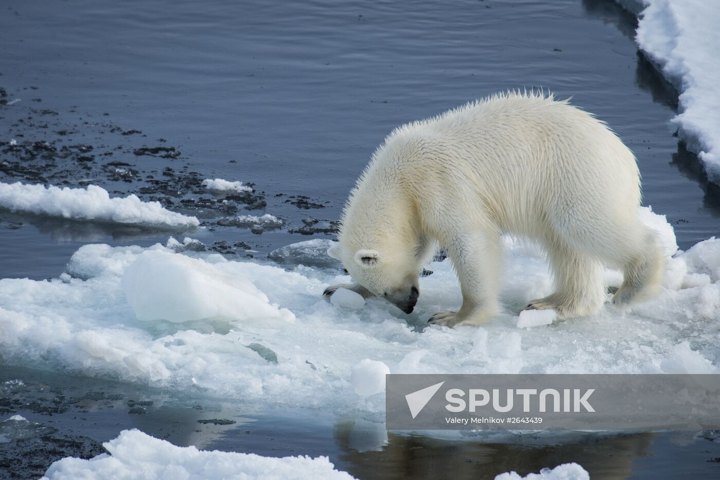 Kara-Winter 2015 Arctic expedition