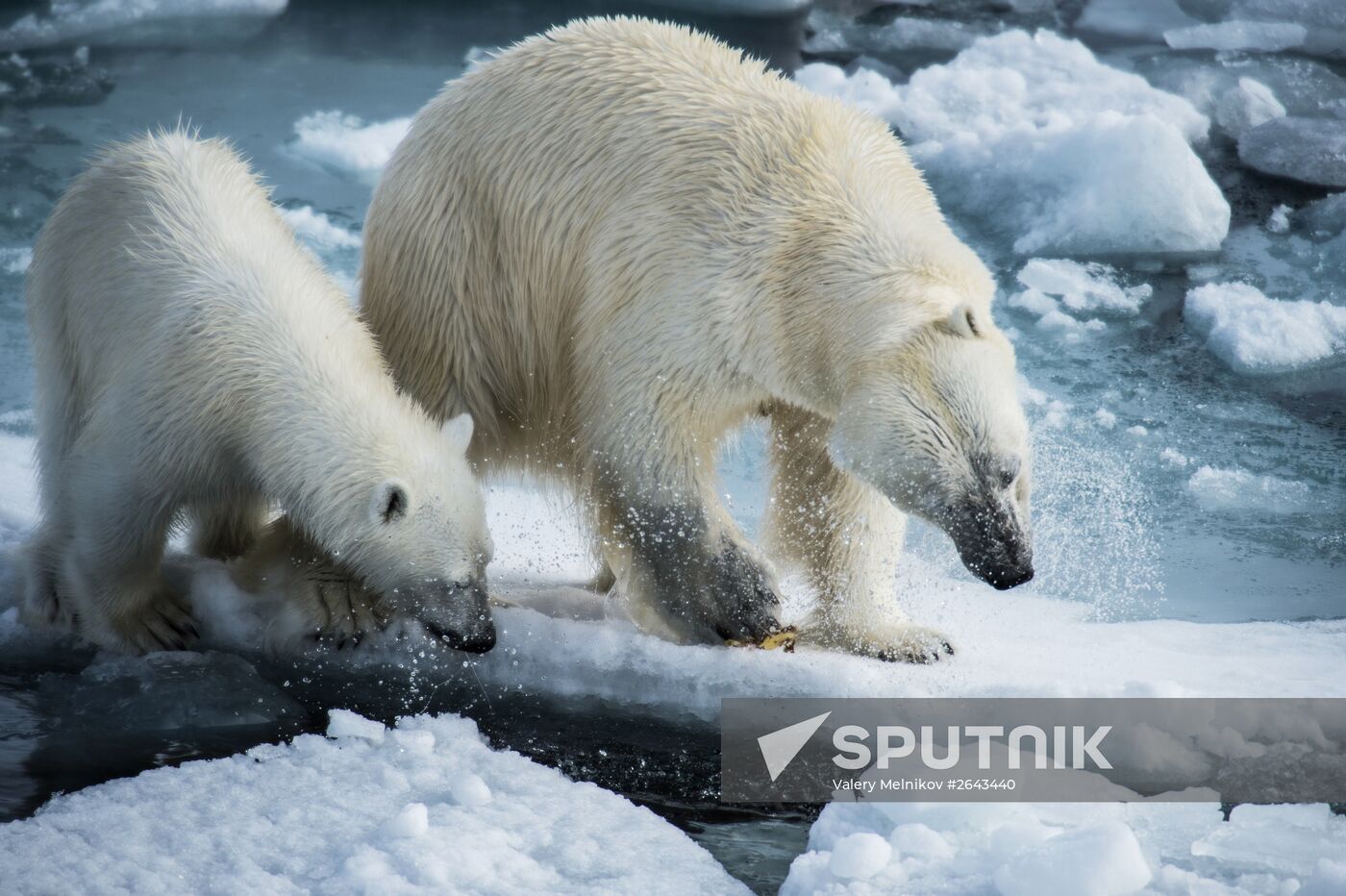 Kara-Winter 2015 Arctic expedition
