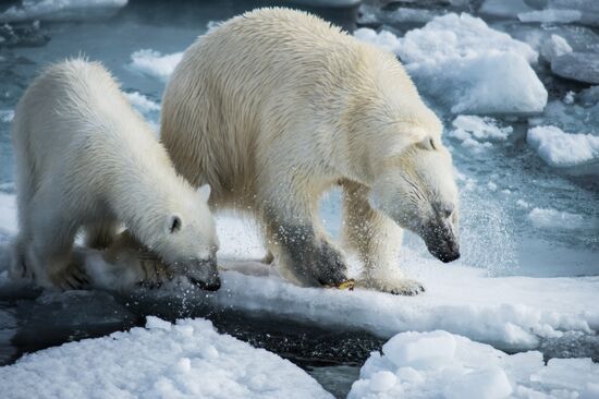 Kara-Winter 2015 Arctic expedition