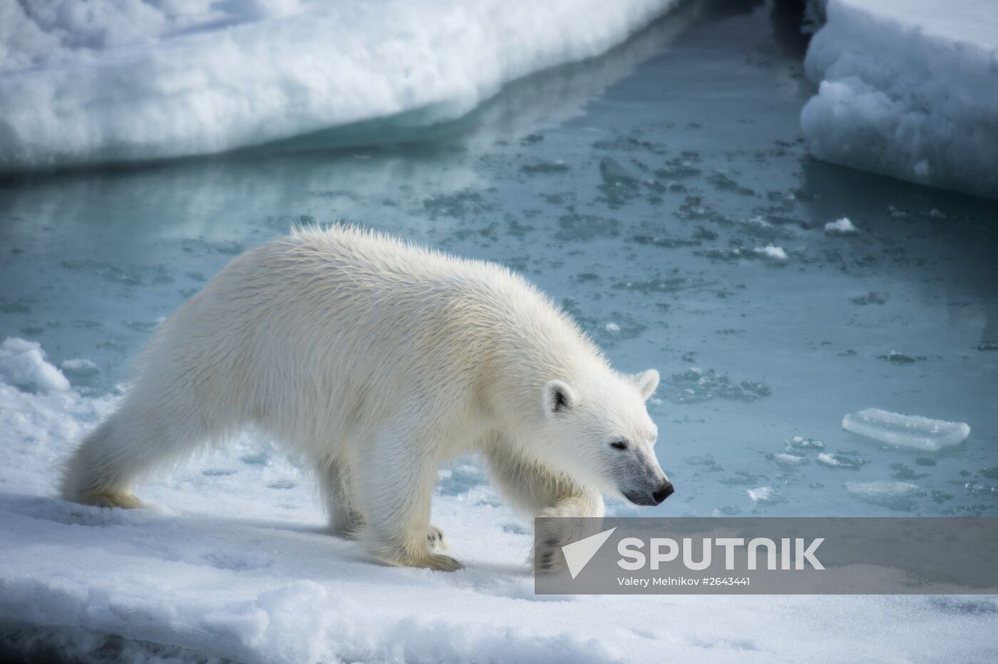 Kara-Winter 2015 Arctic expedition