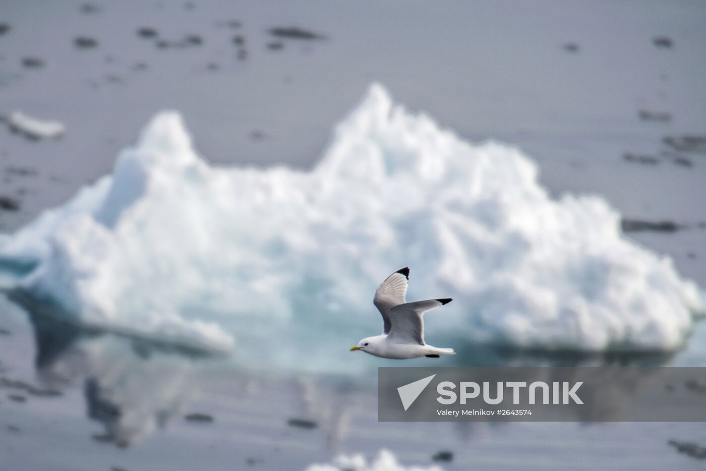 Kara-Winter 2015 Arctic expedition