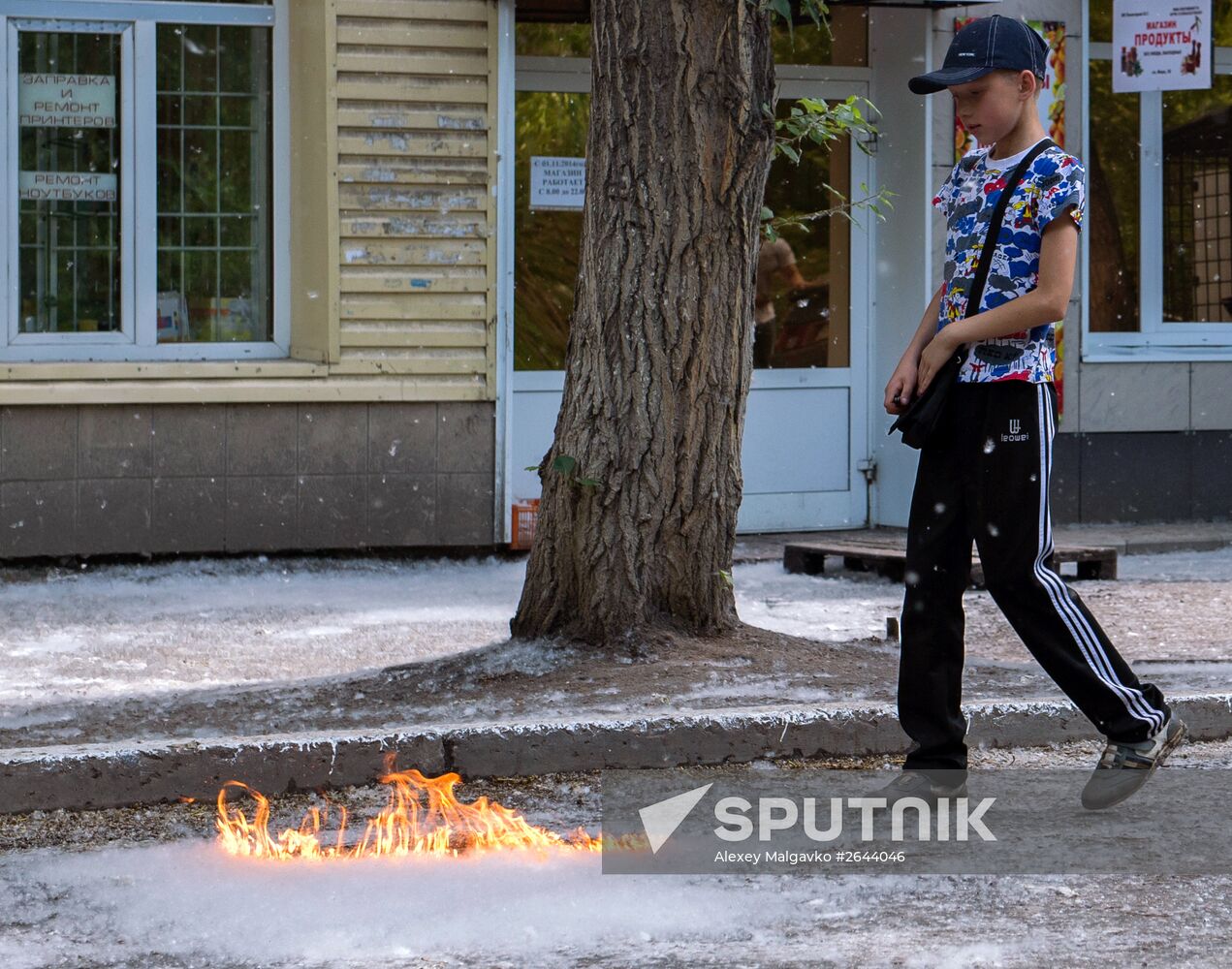 Poplar fluff in Omsk