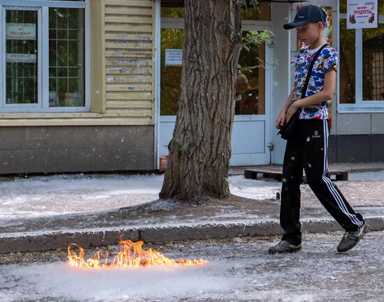 Poplar fluff in Omsk