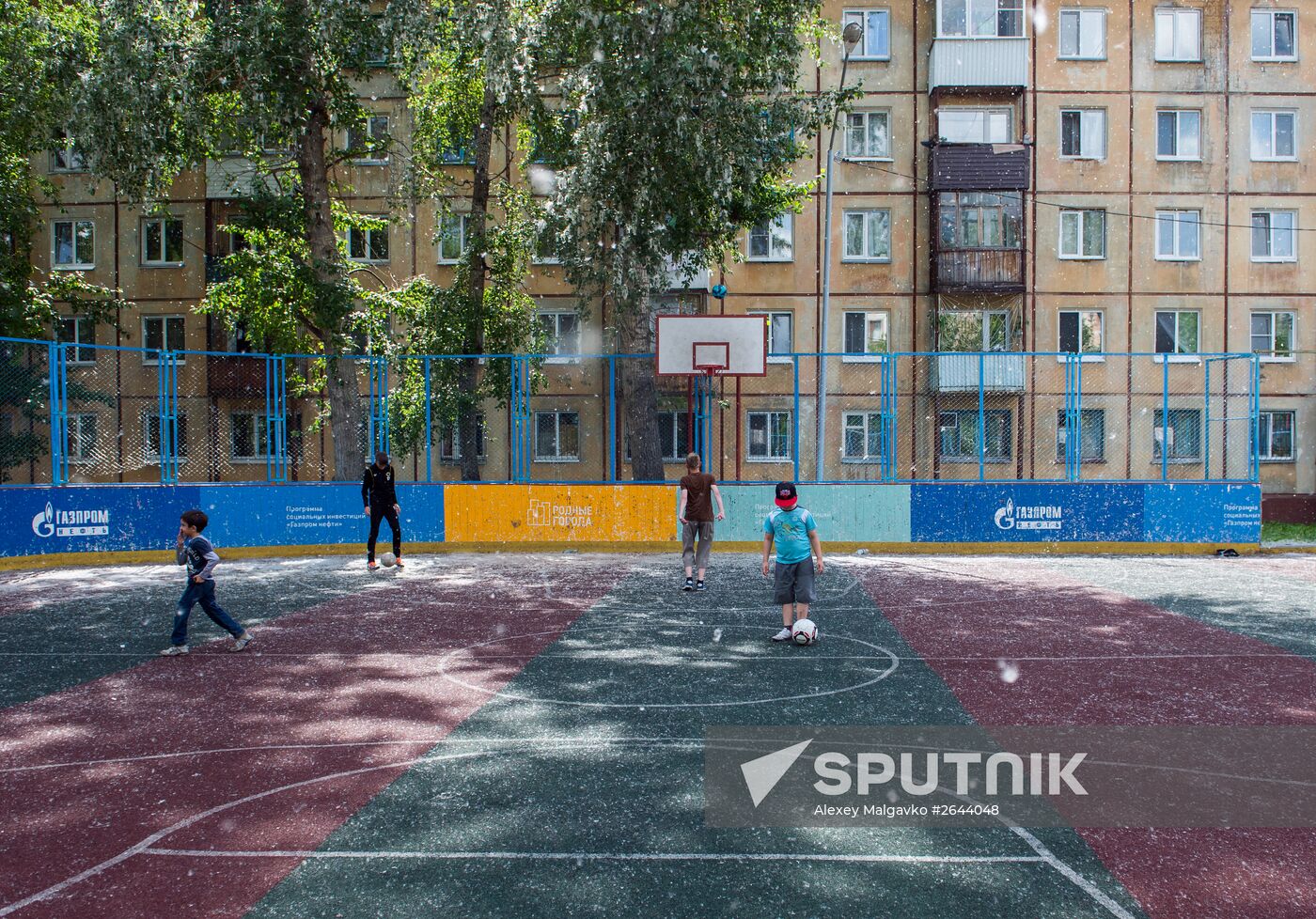 Poplar fluff in Omsk