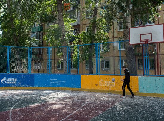 Poplar fluff in Omsk