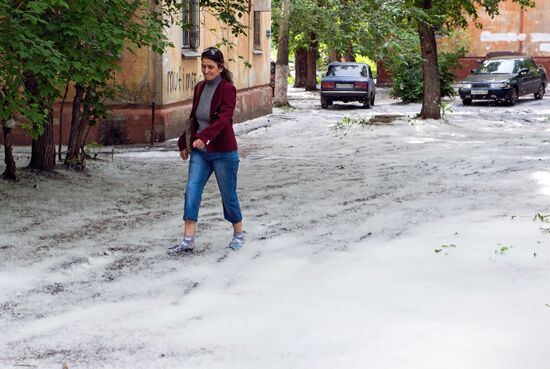 Poplar fluff in Omsk