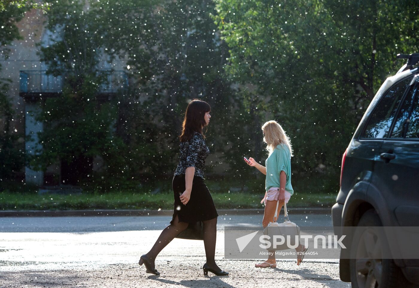 Poplar fluff in Omsk