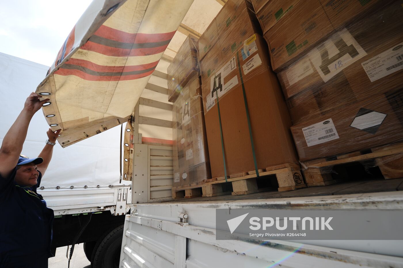 Next Emergencies Ministry's humanitarian aid convoy for Donbass